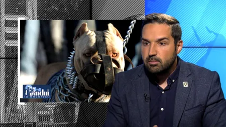 VIDEO EXCLUSIV | Tudor-Tim Ionescu: Oricând se poate repeta tragedia de pe Lacul Morii în care o femeie a murit sfâșiată de câini