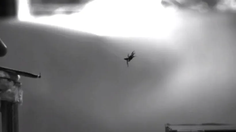 VIDEO. Cum zboară în realitate păianjenii