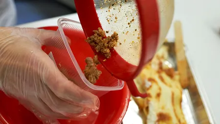 Scandalul cărnii de cal ajunge și în Italia. Tone de carne tocată au fost puse sub sechestru