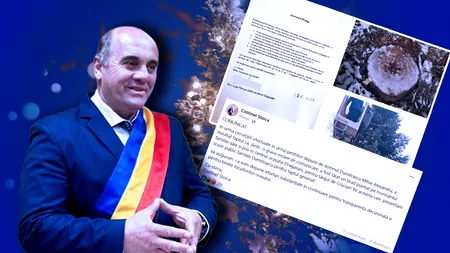 Edilul din Drăgăşani spune că a tăiat din greşeală un brad de pe un mormânt ca să-l împodobească: 
