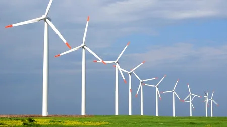 Director Translectrica: Producătorii de energie verde trebuie să cedeze o parte din ajutorul de la stat