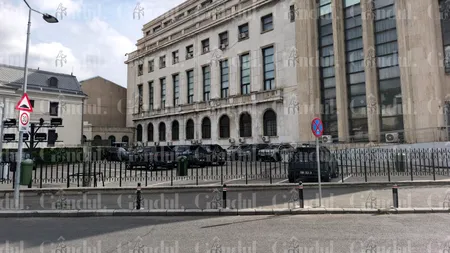 IMAGINI cu noua flotă auto a Guvernului. Cum arată cele 17 mașini Dacia Duster, model Pick-up