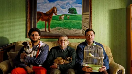 Visează blocării pisici electrice?     