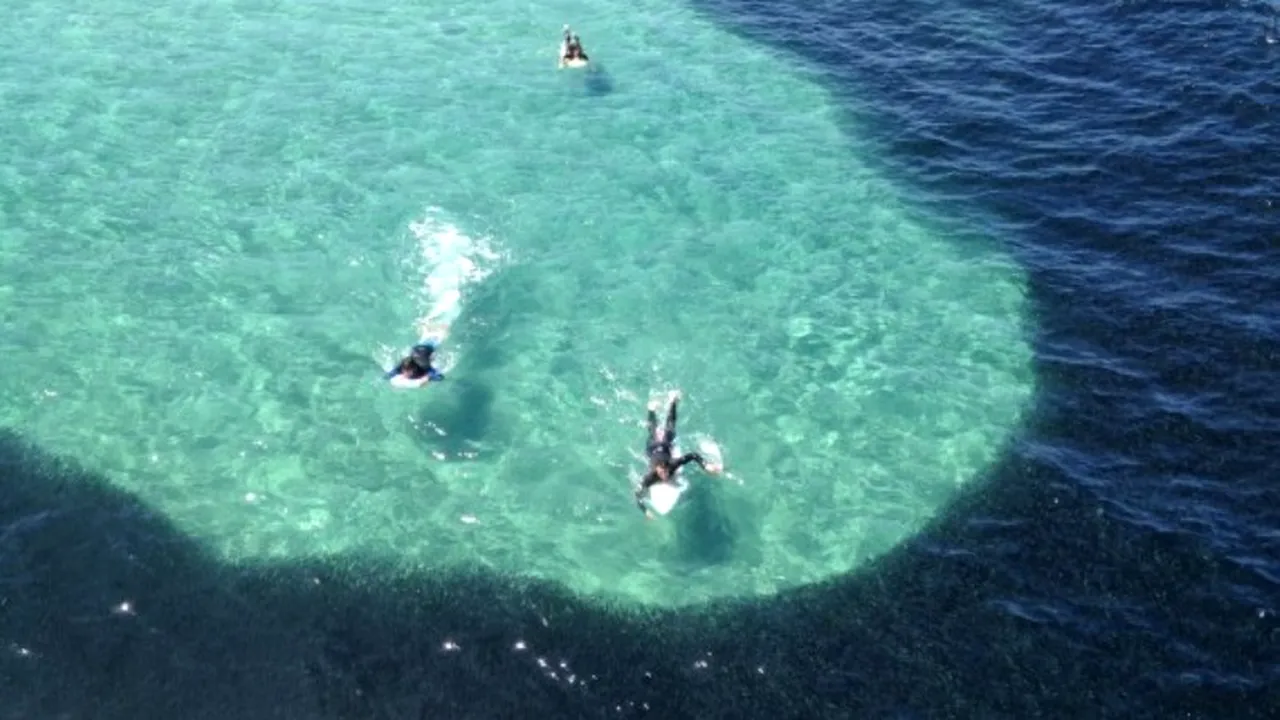 Apariție misterioasă în apele din San Diego. „Nu ne-am așteptat la așa ceva