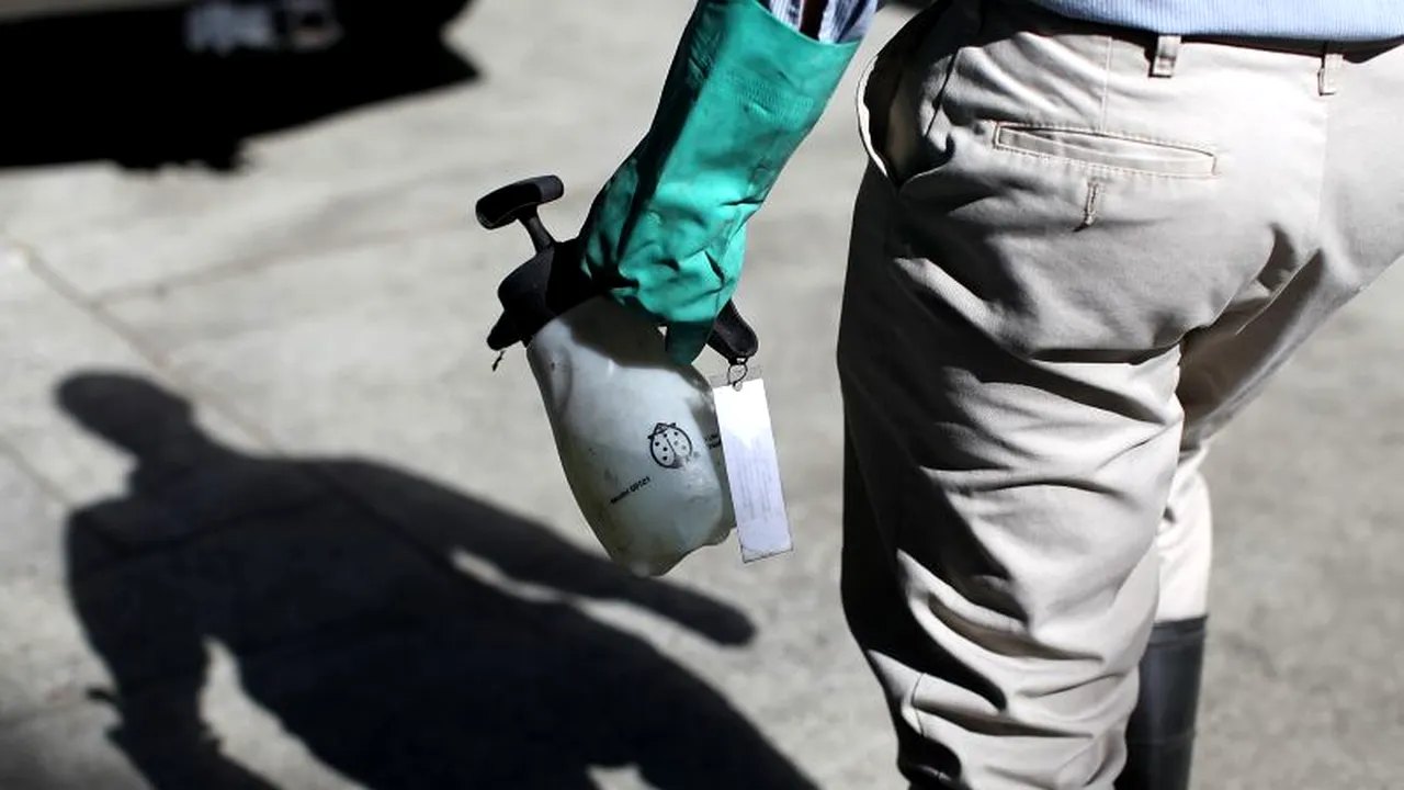 Număr record de MORȚI în SUA din cauza virusului West Nile