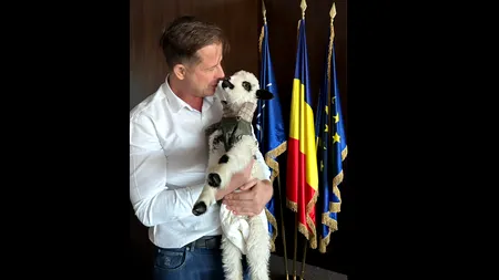 (P) Miel exploatat pentru bani/Hubert THUMA a mai salvat un suflet, iar acum îi caută un cămin primitor