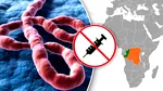 Ebola s-ar putea răspândi mai rapid de la mutații. OMS trage un semnal de alarmă asupra pericolului unui virus pentru care nu există vaccin