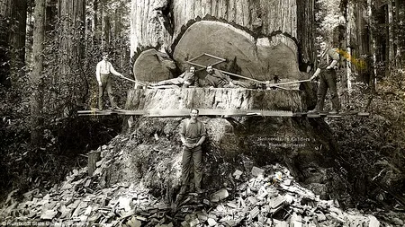 Imagini REALE dintr-o lume dispărută: fotografii de arhivă care-ți vor tăia respirația