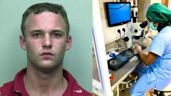 25 IULIE, calendarul zilei: Brad Renfro ar fi împlinit 43 de ani/ În Anglia se naște primul copil conceput prin fecundare artificială