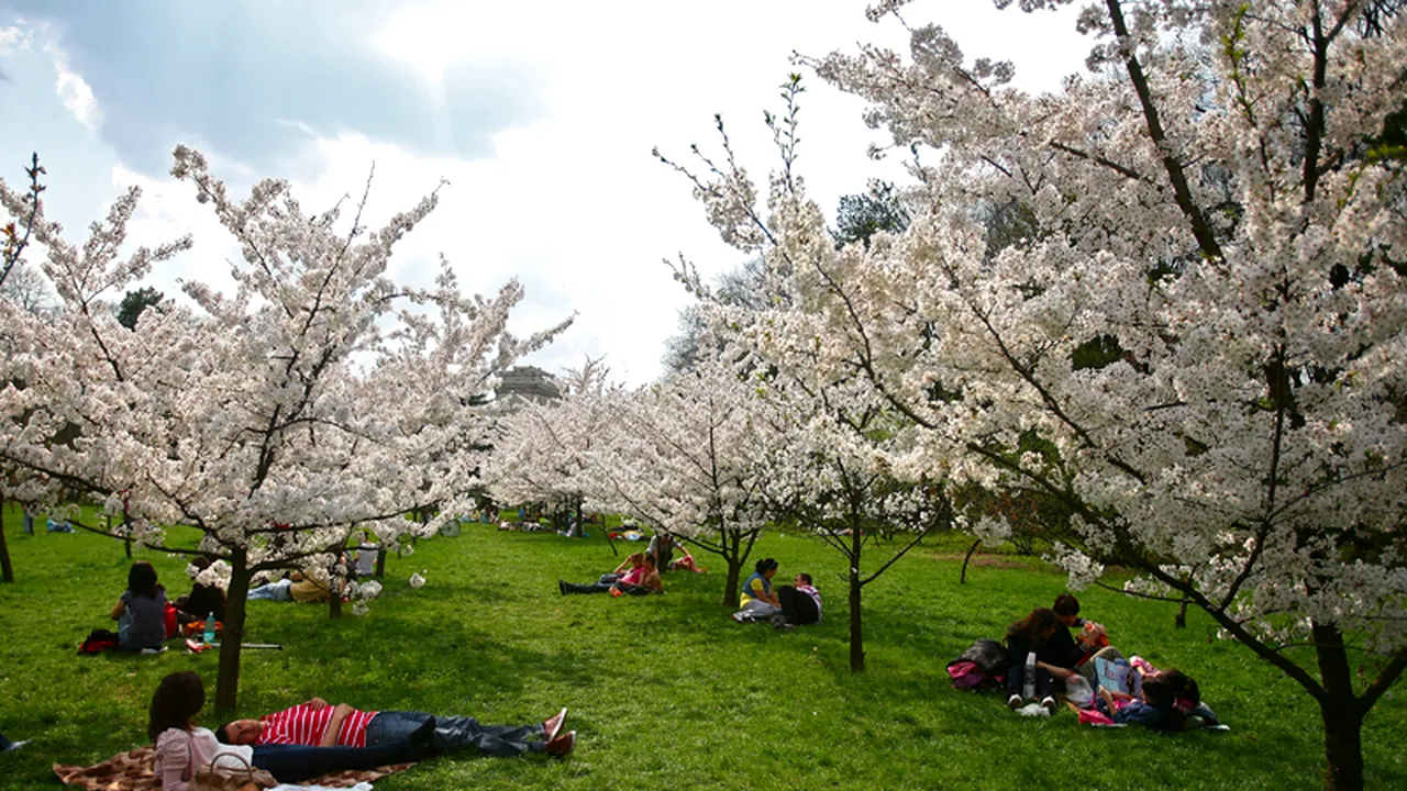 VREMEA DE 1 MAI. Prognoza meteo de marți și miercuri