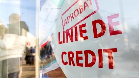 Aproape 70% din firmele din România nu ar lua credit în lei sau euro. SONDAJ BNR