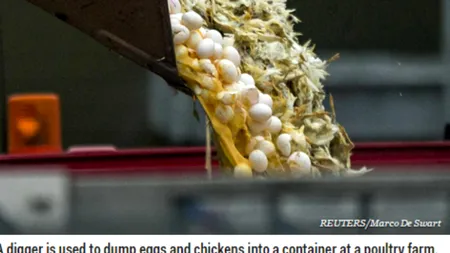 Top 10 cele mai importante evenimente ale zilei în lume