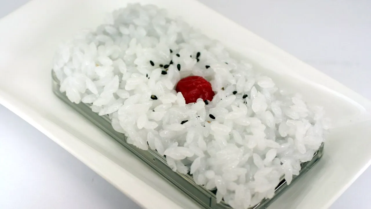 E bine sau nu să pui în OREZ un iPhone care s-a udat? Apple a actualizat instrucțiunile și a adăugat un paragraf în care oferă răspunsul la întrebare