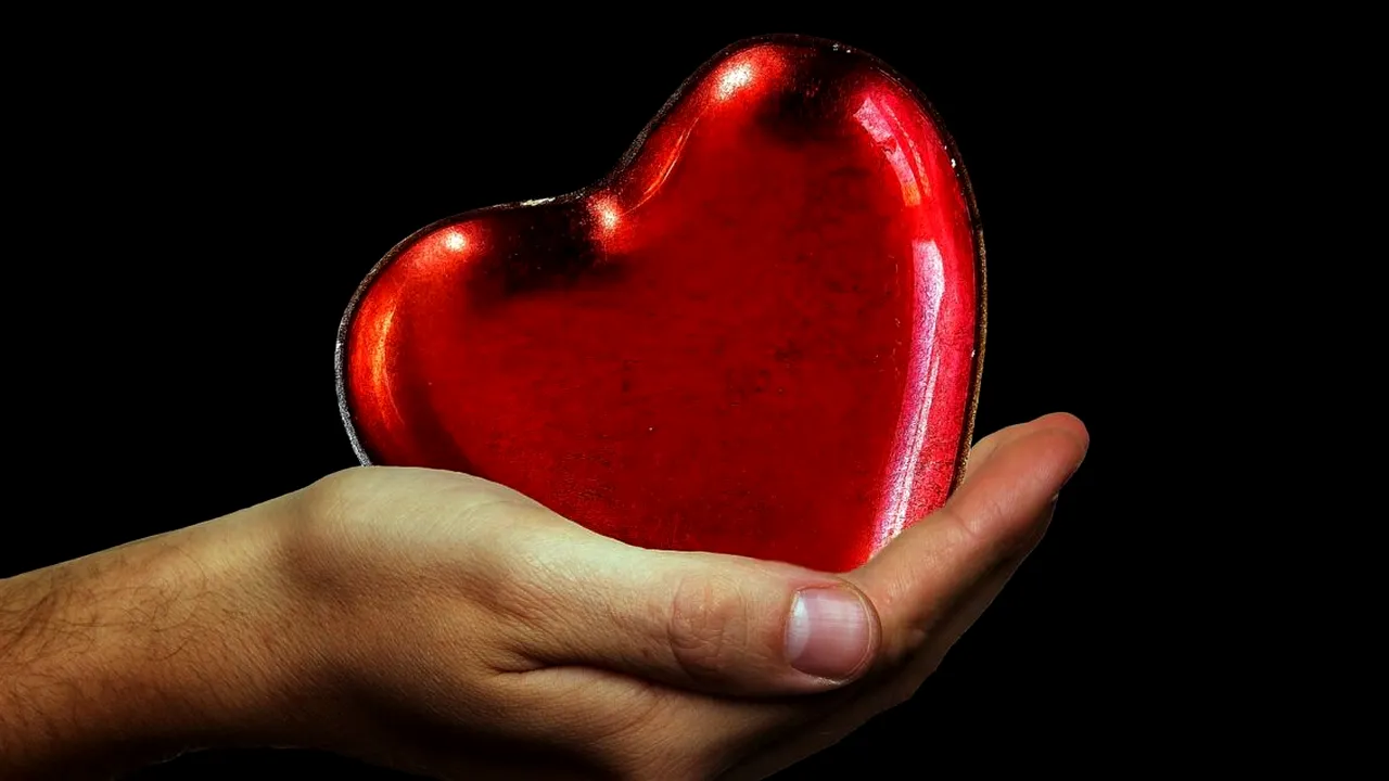 O(mega) inimă de nota (coenzima Q)10 | P