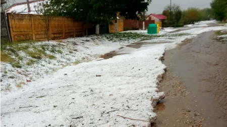 Rupere de nori într-o localitate din Dolj. Grindina a distrus aproape toate culturile agricole / „Grămezi de gheață, ca iarna” (VIDEO)