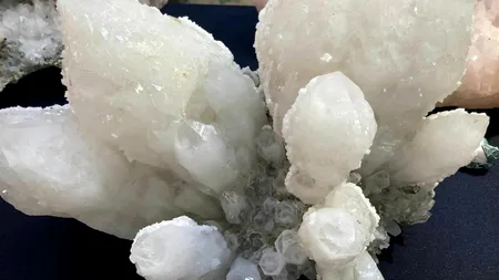 Suma IMPRESIONANTĂ cu care se vinde o floare de mină. Cu banii îți poți cumpăra un apartament în București 