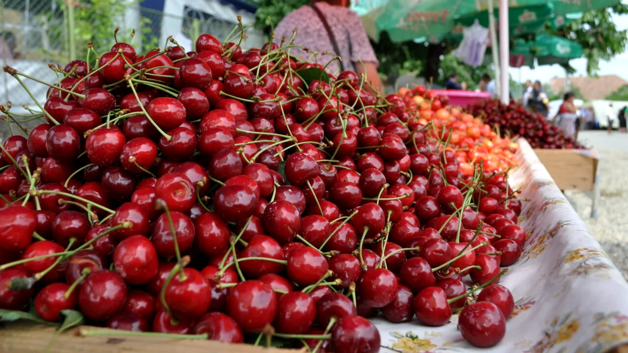 Cât costă un kilogram de cireșe românești într-o piață din Oradea. Au fost înregistrate pierderi de producție și de 60% în urma valului de frig