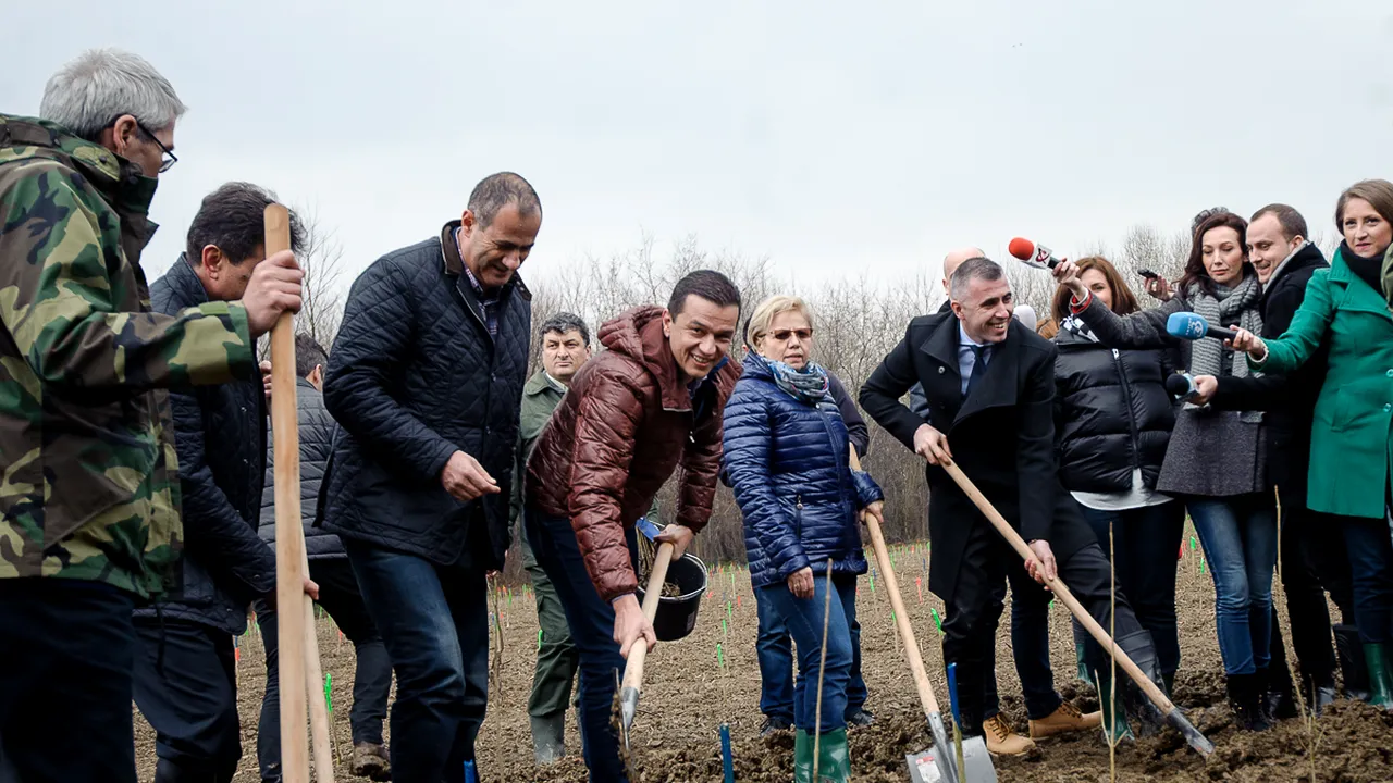 Constatarea „curioasă