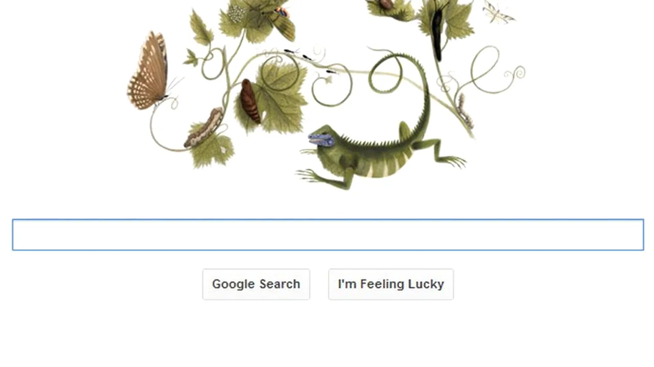 MARIA SIBYLLA MERIAN, intrată în istorie cu desenele ei cu plante și insecte, omagiată astăzi de Google. MARIA SIBYLLA MERIAN, apreciată abia la sute de ani după moartea sa. VIDEO