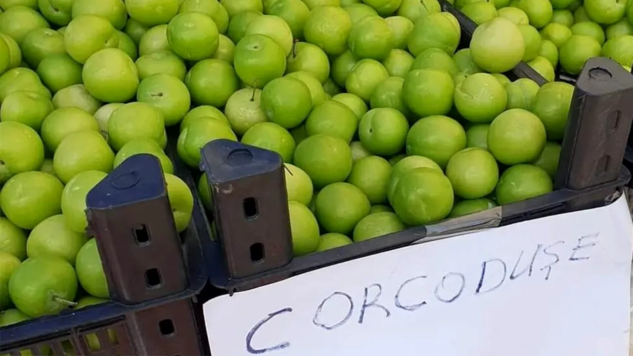 Prețurile au luat-o razna în mai 2023! Cu câți lei se vinde un kilogram de corcodușe acum, în România