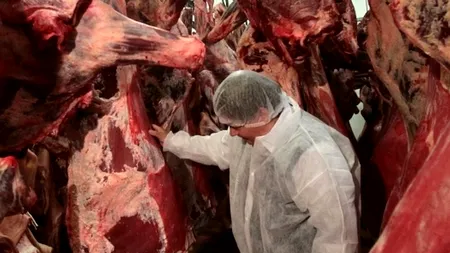 Cum ne-a făcut calul străin deghizat în vită 