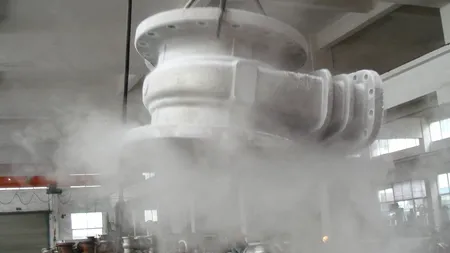 O fată de 14 ani care a murit de cancer a câștigat în instanță dreptul de a fi criogenată