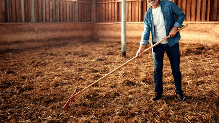 Sancțiuni severe pentru fermierii care nu declară aceste animale la Registrul Agricol. Ce spune Legea