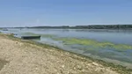 Dunărea a secat în zona Calafat-Maglavit. Imagini dezolante din cauza caniculei