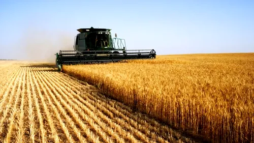 Statul vrea să impoziteze peste 600.000 de agricultori care nu declară venituri
