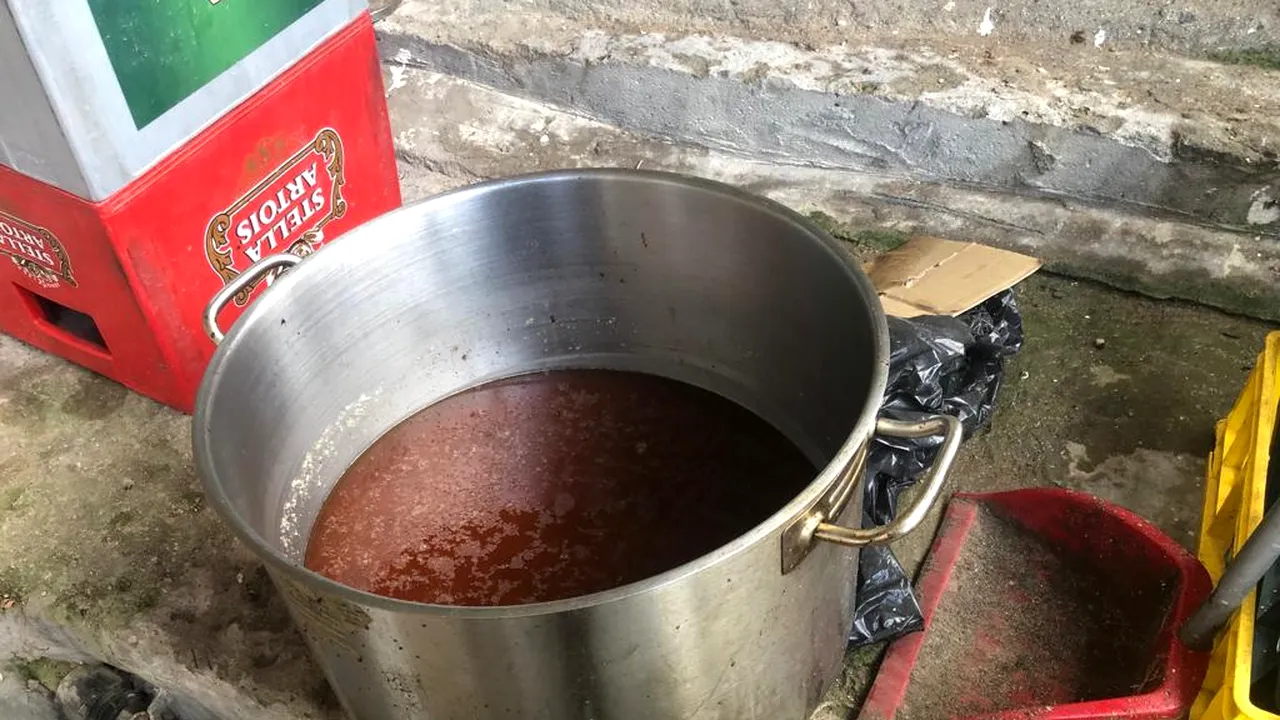 FOTO | Amenzi uriașe pentru restaurantele de pe litoralul românesc. Ce nereguli grave au descoperit inspectorii ANSVSA