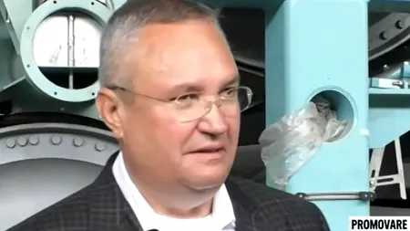 Nicolae CIUCĂ, la Combinatul de celuloză și hârtie din Drobeta Turnu Severin: 