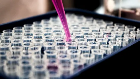 COVID-19. Rusia susține că a creat un medicament pentru a trata pacienții care suferă de coronavirus