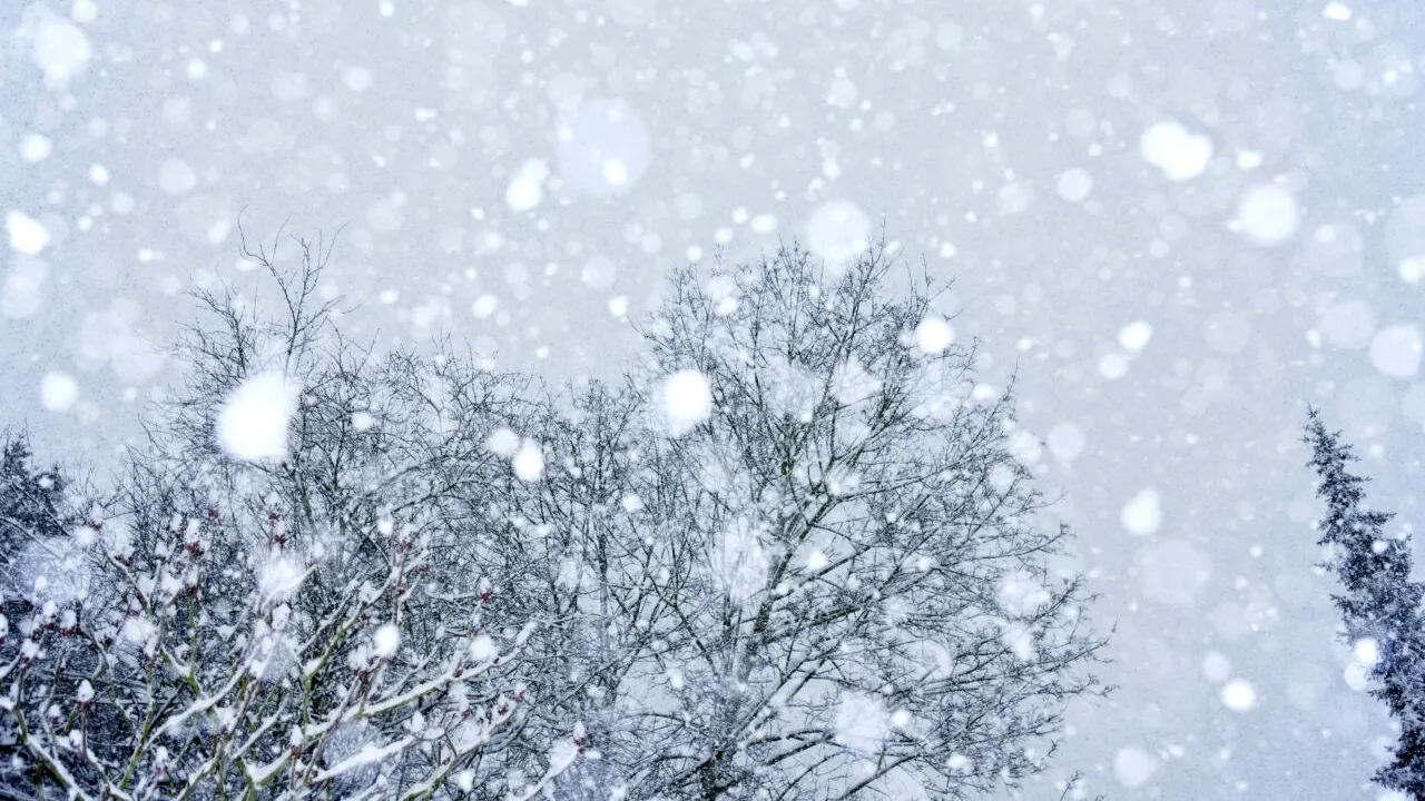 A fost activat centrul de urgență, din cauza vremii severe din București. Ce situații de risc au apărut