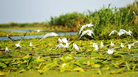 România revine într-unul dintre cele mai importante cataloage de promovare turistică din lume. Peste 10.000 de agenții vor putea trimite turiști în țara noastră