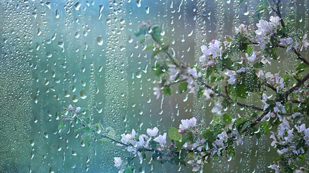 Frigul și ploile se întorc în România! Când vine, cu adevărat, primăvara