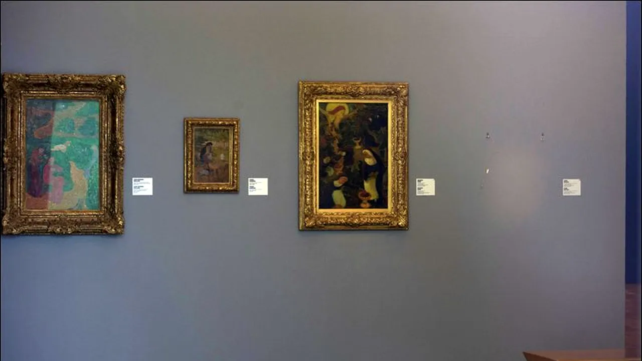 Geamantanul lui Dogaru în care ar fi fost tablourile furate, găsit în curtea unei case din Carcaliu 