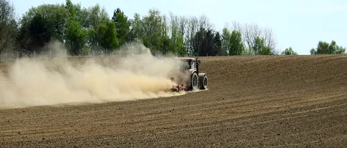 Dezastru în agricultură: Producția de cereale a României s-a înjumătățit anul acesta din cauza secetei pedologice