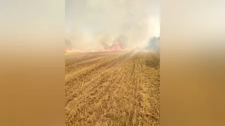 Incendiu puternic în județul Alba. Flăcările s-ar putea extinde | VIDEO
