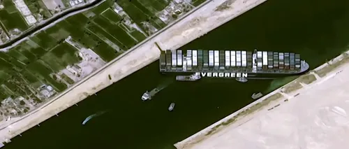 Animals International: 10 vapoare cu animale vii din România sunt blocate în canalul Suez, în urma eșuării navei Evergreen. Animalele riscă să moară de foame