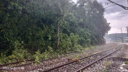 CFR, ANUNȚ important pentru călători! Circulația feroviară este oprită temporar, din cauza unor copaci rupţi de vânt