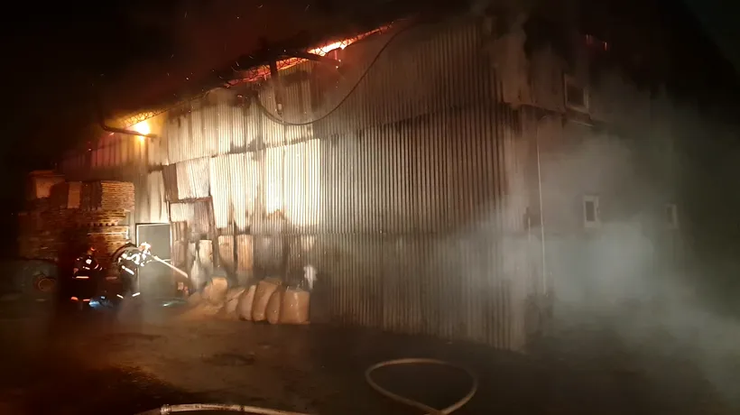 Incendiu puternic la un atelier de mobilă din Timișoara. Zeci de pompieri intervin pentru stingerea flăcărilor, care au cuprins o suprafață de aproximativ 600-700 mp