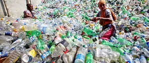 Un român care reciclează sticle de plastic prin SGR: „Câștig 100 lei pe zi, dar într-o zi de weekend am ajuns la 400 lei”