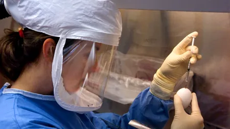 Prima tranșă de vaccin gripal tetravalent, distribuită săptămâna aceasta. Câte doze sunt disponibile în programul național