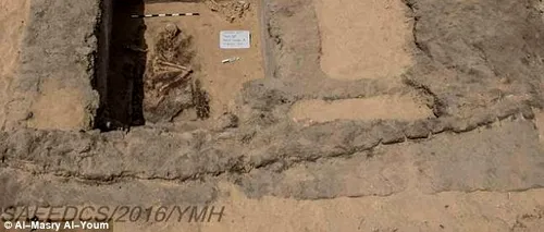 După 60 de ani de căutări, arheologii au făcut o descoperire istorică în deșertul Iudeii