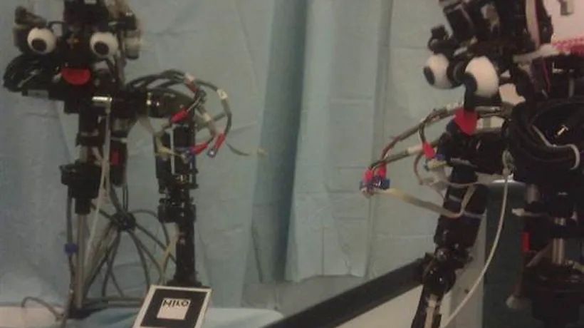 Un robot ar putea trece în curând TESTUL OGLINZII