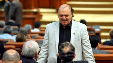 Proiectul lui Socaciu de interzicere în reclame a patrimoniului, respins de Comisia de Cultură-Senat