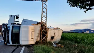 VIDEO | Mesaj Ro-Alert inedit: Locuitorii unei comune din Neamț au fost avertizați de pericolul să fie înțepați de albine după ce un camion cu stupi s-a răsturnat pe E 85
