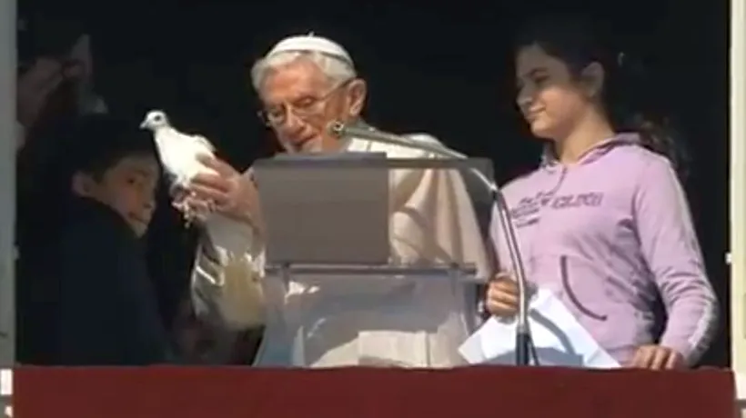 Porumbelul păcii, eliberat de Papa Benedict XVI, atacat de un pescăruș