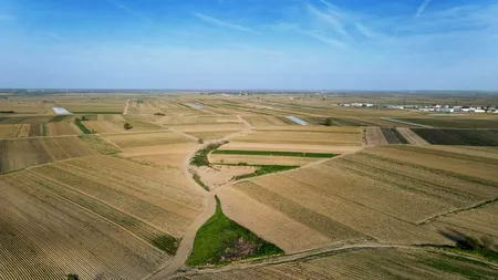 APIA primește cereri de plată pentru 2025 începând de luni, 3 martie/Ce documente trebuie să depună fermierii