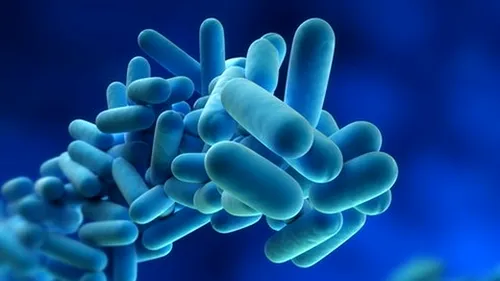Șase obiecte pline cu bacterii pe care le utilizăm aproape zilnic